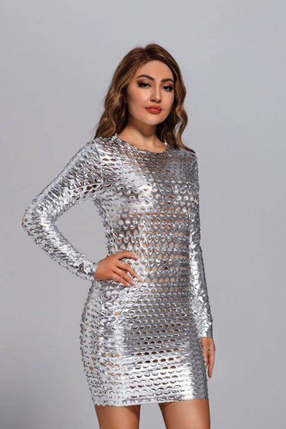 Silver Mesh Bodycon Dress