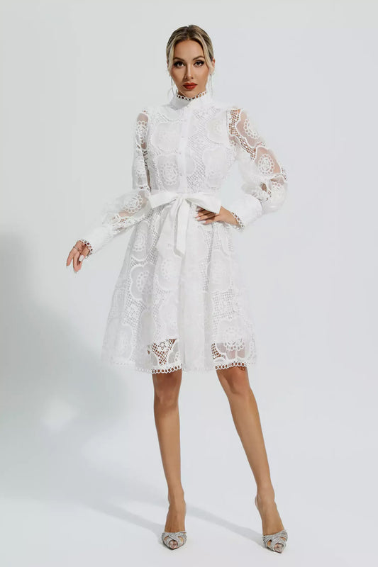 White Lace Jacquard Mini Dress