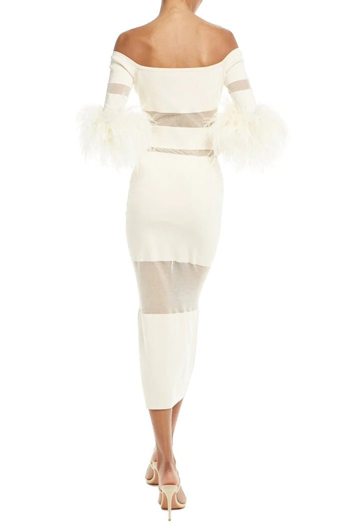 Mesh Feather Sleeve Knit Long Dress