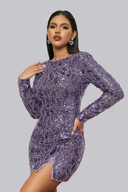 Purple Long Sleeved Velvet Sequined Mini Dress